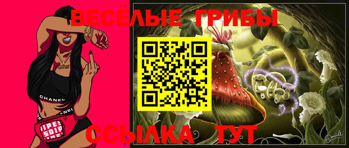 Галлюциногенные грибы GOLDEN TEACHER Коломна