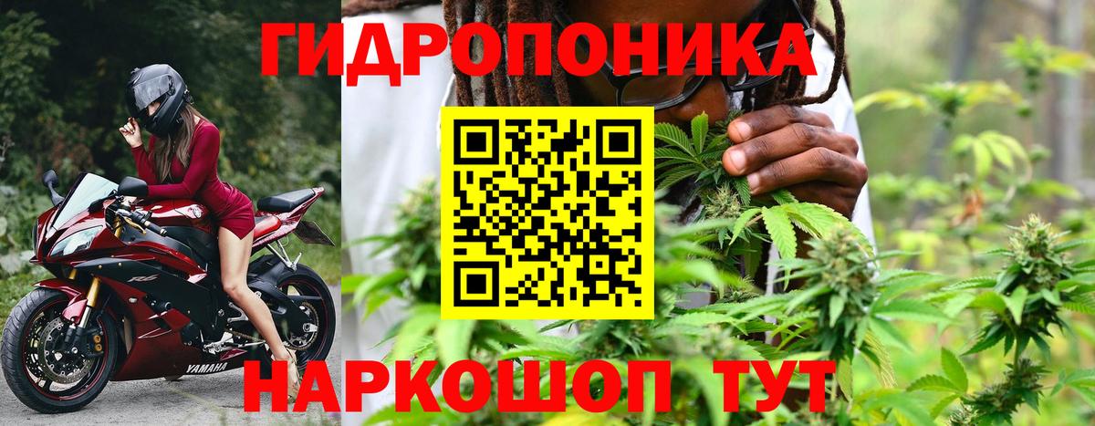 Каннабис тримм  Шишки марихуана сатива  Вход с VPN  Шишки марихуана тримм  Каннабис White Widow  Коломна 